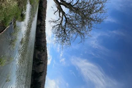 Bolu - At Yaylası