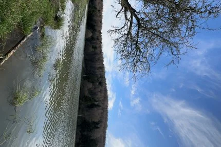 Bolu - At Yaylası