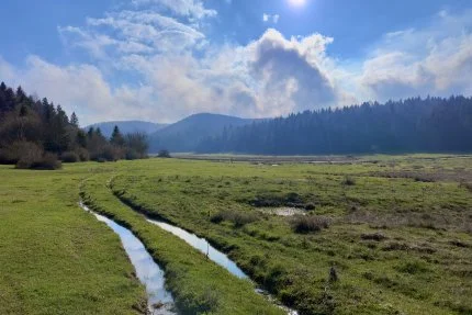 Bolu - At Yaylası
