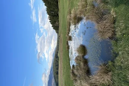 Bolu - At Yaylası